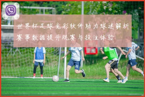 世界杯足球竞彩软件助力球迷解析赛事数据提升观赛与投注体验