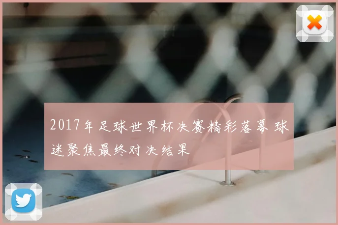 2017年足球世界杯决赛精彩落幕 球迷聚焦最终对决结果