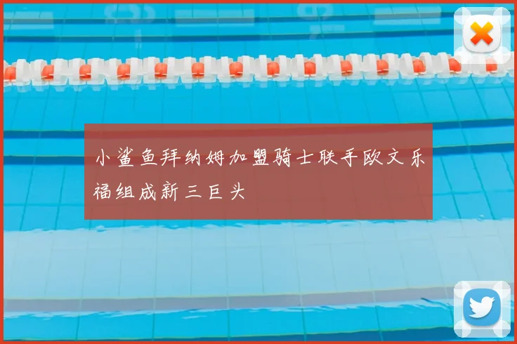 小鲨鱼拜纳姆加盟骑士联手欧文乐福组成新三巨头