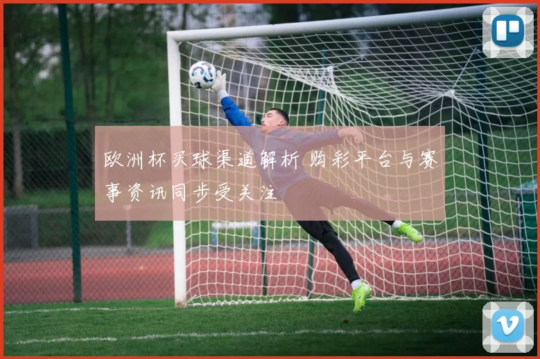 欧洲杯买球渠道解析 购彩平台与赛事资讯同步受关注