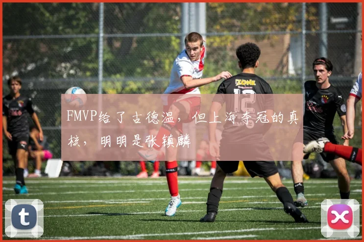 FMVP给了古德温,但上海夺冠的真核,明明是张镇麟