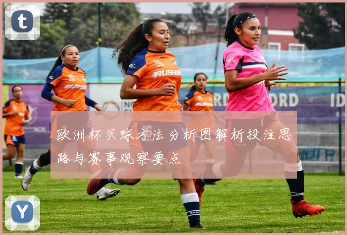 欧洲杯买球方法分析图解析投注思路与赛事观察要点