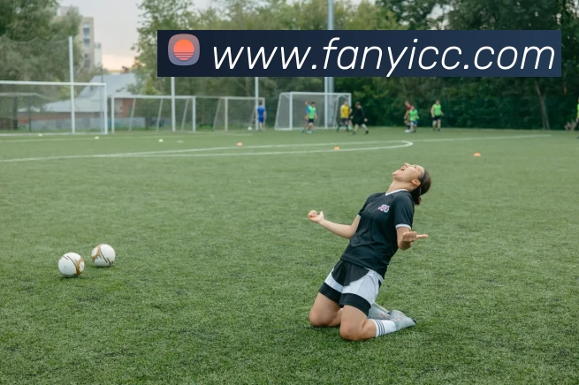 熊猫体育(中国版权)官方网站 - 最全赛事直播平台平台生态图